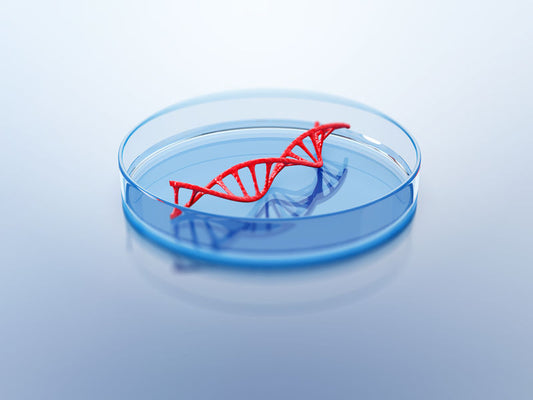 FAQs about DNA Testing