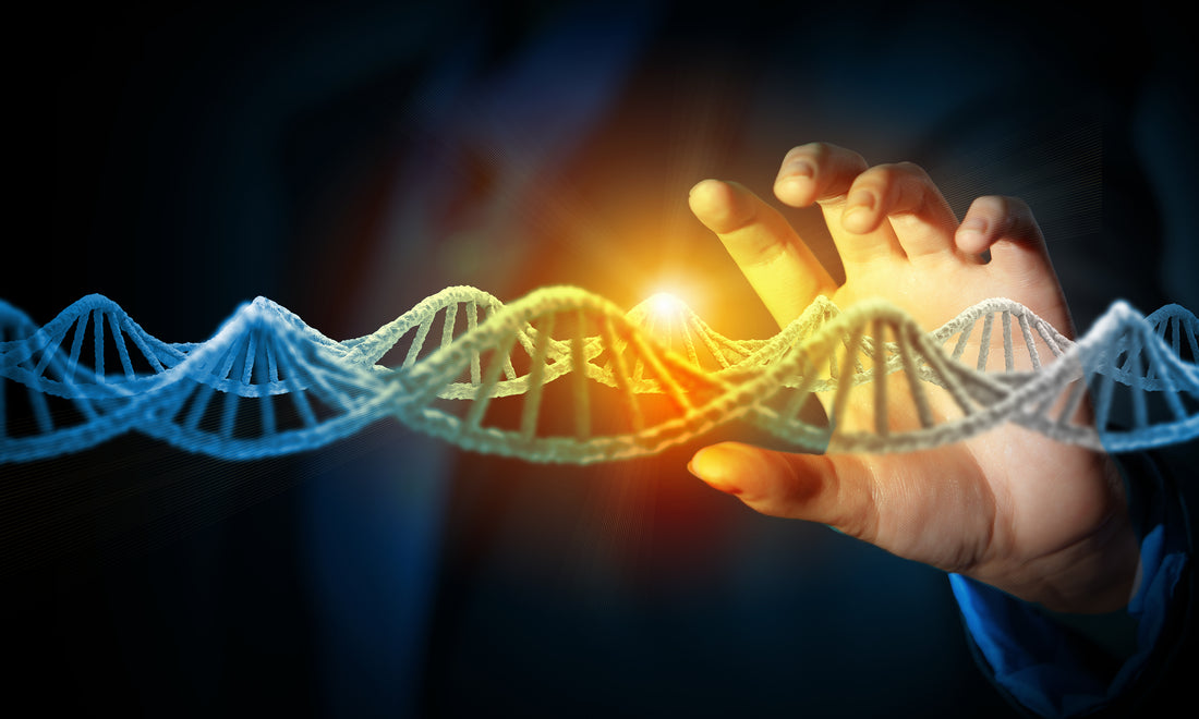 4 Predictions for the Future of Health and Wellness that Will Make “Modern” Healthcare Look Barbaric.