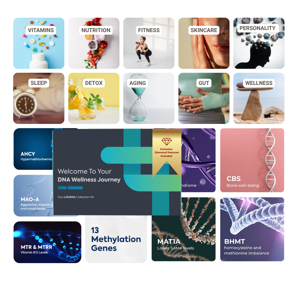 LifeDNA Diamond: All-In-One DNA Wellness Blueprint