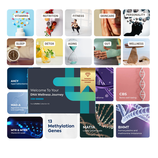 LifeDNA Diamond: All-In-One DNA Wellness Blueprint