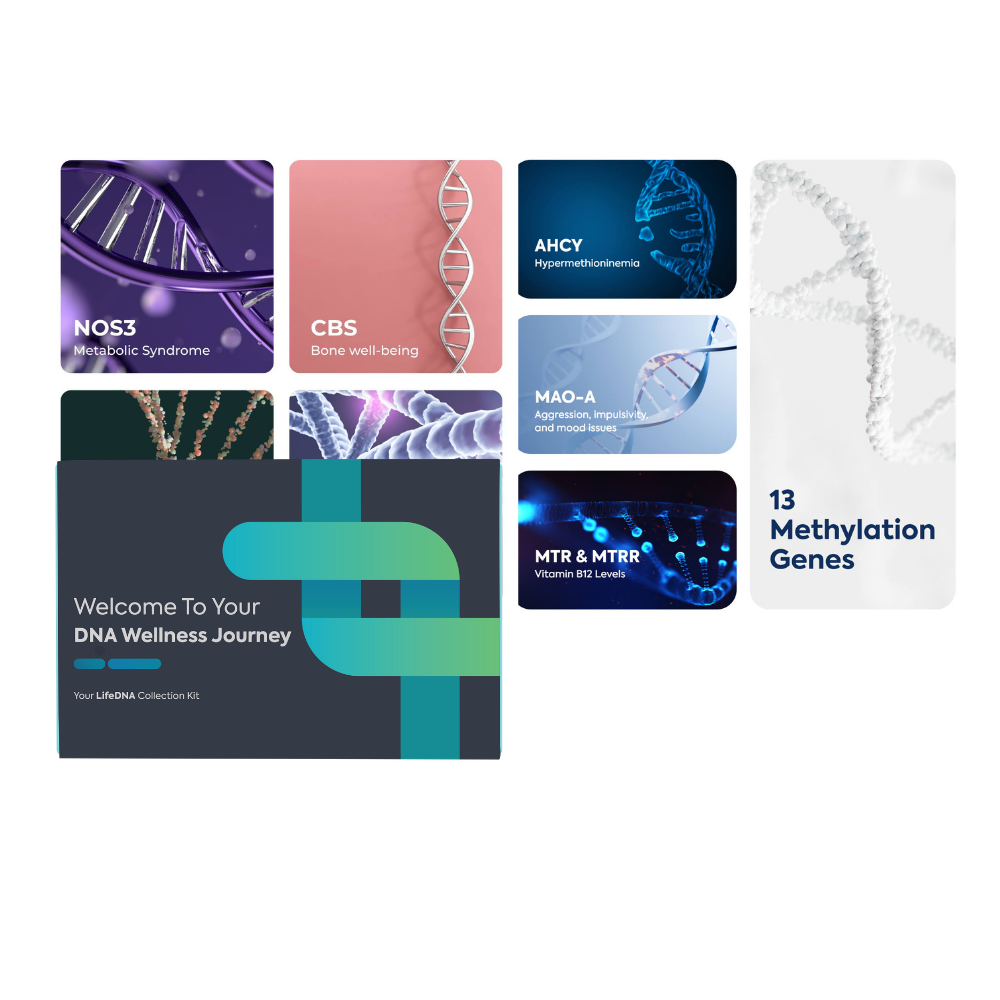 13 Methylation Genes Test with Complete Wellness Analysis