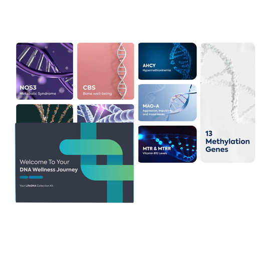 13 Methylation Genes Test with Complete Wellness Analysis
