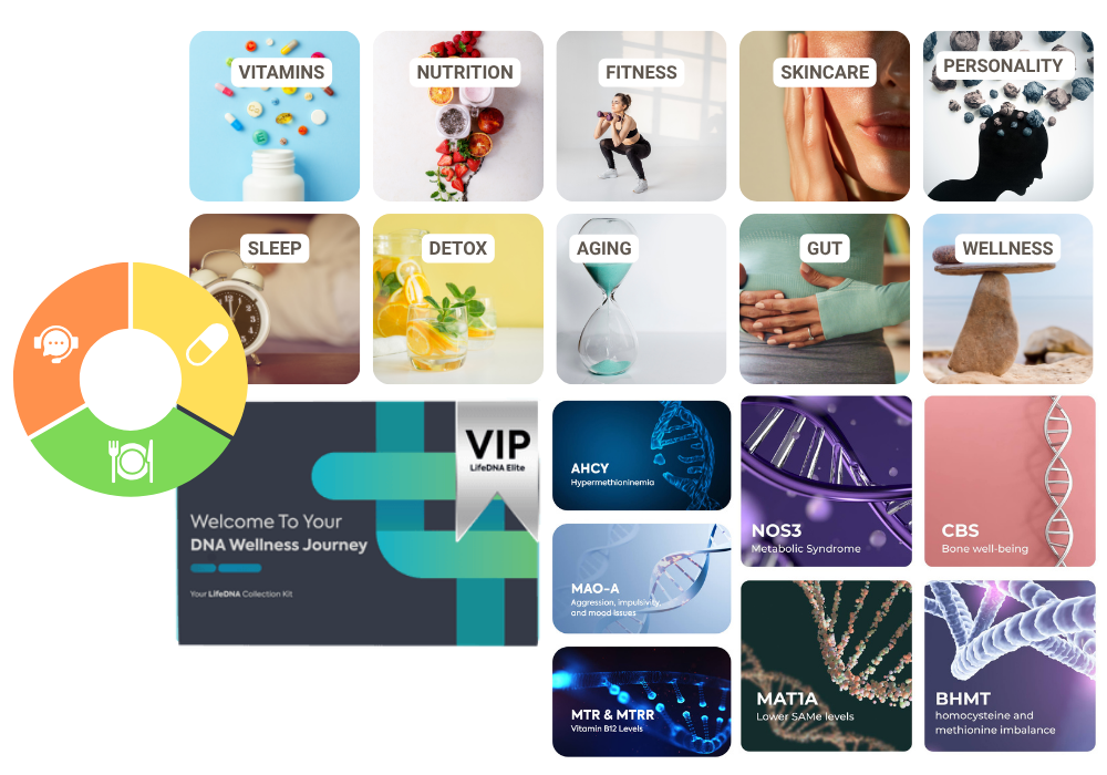 LifeDNA Elite: VIP White-Glove DNA & Longevity System
